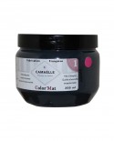 Peinture ColorMat CAMAELLE Noir Abîme 200ml