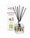 Diffuseur Cube Poussière d'Ambre Berger