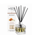 Diffuseur Cube Etoile d'Orient Berger