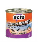 Fumigène Insectes volants rampants ACTO