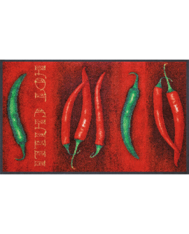 TAPIS WASH  ABSORBANT 60X1.80CM Grey Lobster