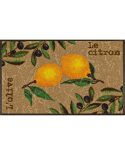 TAPIS WASH  ABSORBANT 60X180CM Le Citron
