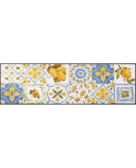TAPIS WASH  ABSORBANT 60X1.80CM Le Citron