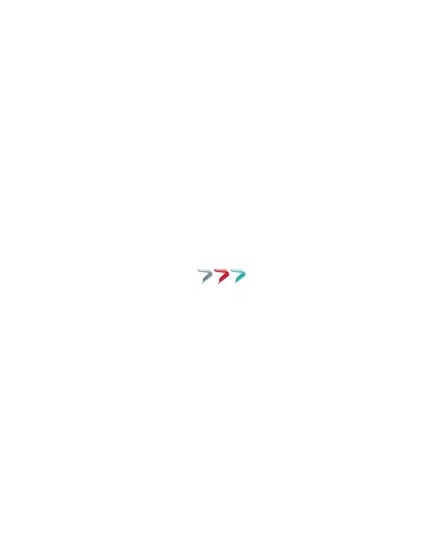 Pince tout-usage rouge LIV WISE