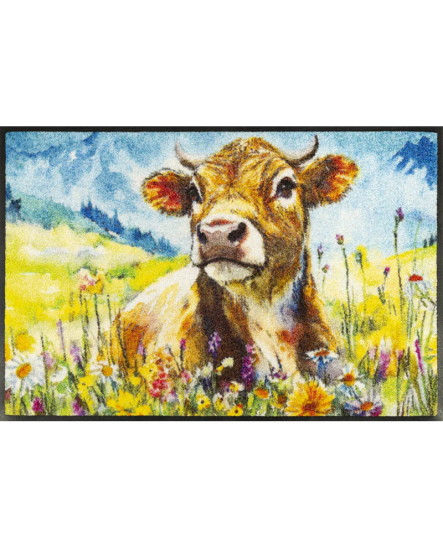 TAPIS WASH  ABSORBANT 50X75CM Heimatliebe