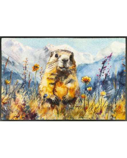 TAPIS WASH  ABSORBANT 50X75CM Lotti