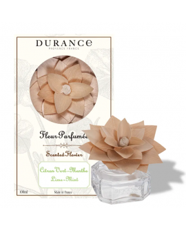 Fleur parfumée Citron Vert-Menthe DURANCE 250 ml